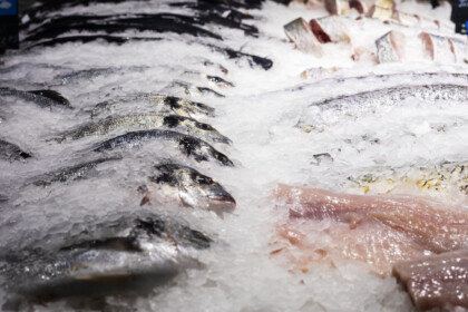 Different Varieties Of Fish Sprinkled With Ice On The Counter. Sale