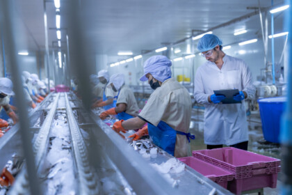 Workers In A Food Processing Plant Wearing Protective Gear, Sorting Fish On A Conveyor Belt Into Pink Crates, Supervised By A Manager With A Clipboard, Ensuring Hygiene And Quality Control.