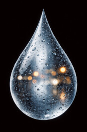 How we created safe, reliable labelling for outdoor vehicle auctions