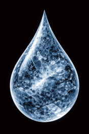 How we stopped labels peeling off frozen packs of seafood