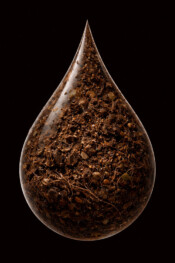 How we helped a garden nursery produce same-day plant tags